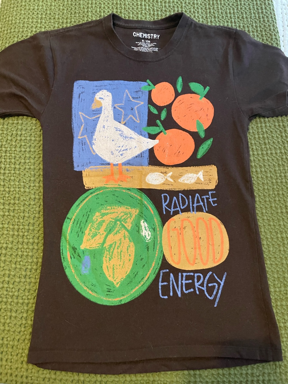 Chemistry Brown Short Sleeve Tee with Duck
